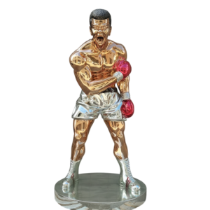 Gemini_Generated_Image_qfw6qvqfw6qvqfw6-Photoroom The Eternal Fighter™